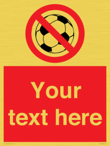 Custom No Ball Games Sign